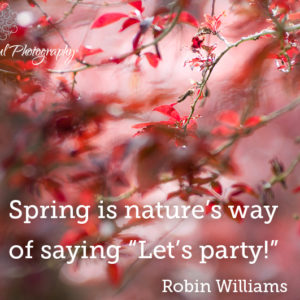 Spring is here!